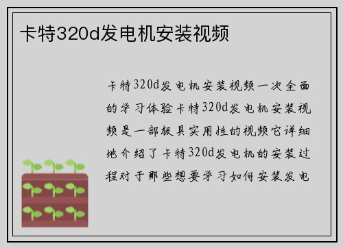 卡特320d发电机安装视频